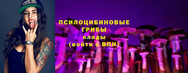 спайс Алексеевка