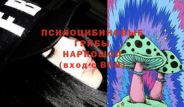apvp Абаза
