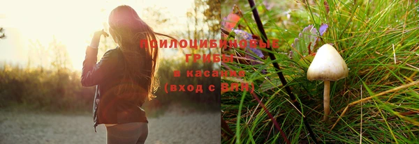 mdpv Алзамай
