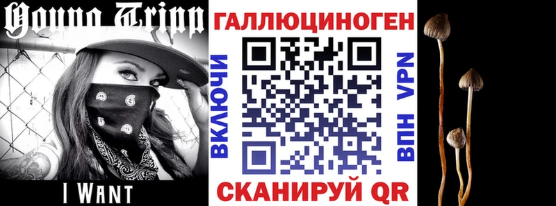 MEGA ССЫЛКА Якутск Псилоцибиновые грибы Magic Shrooms цена