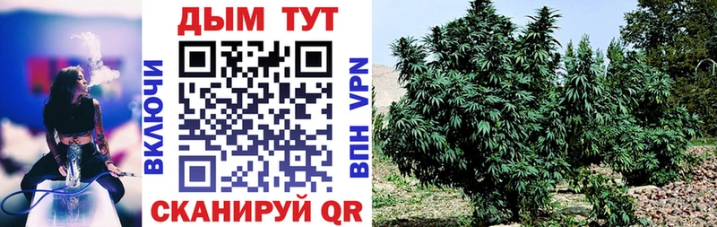где купить   Якутск  Каннабис Bruce Banner 